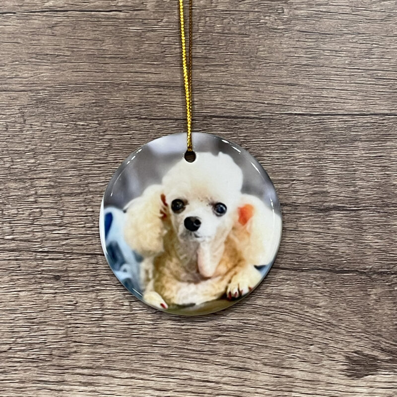 Small Round Picture Ornament