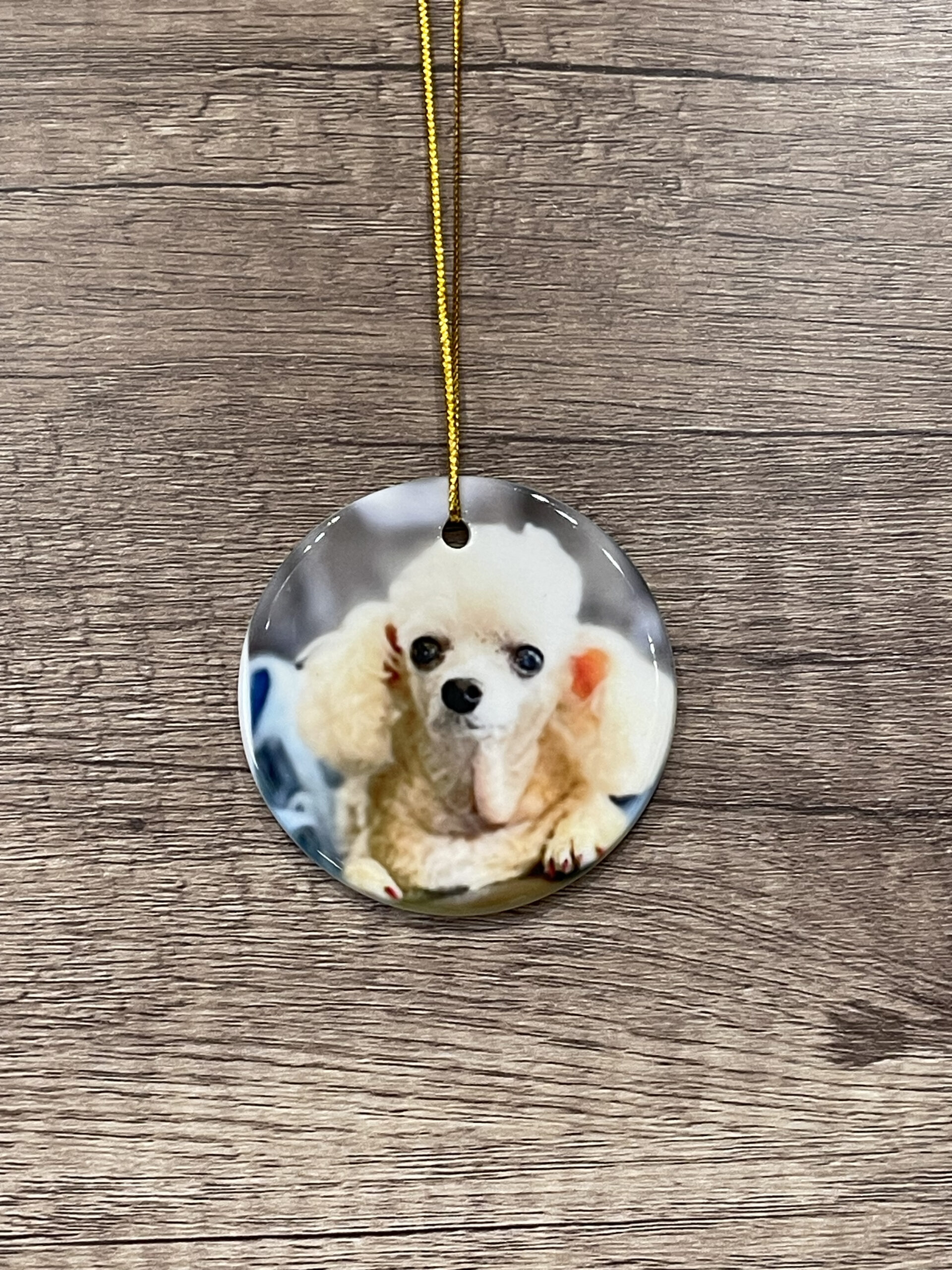 Small Round Picture Ornament